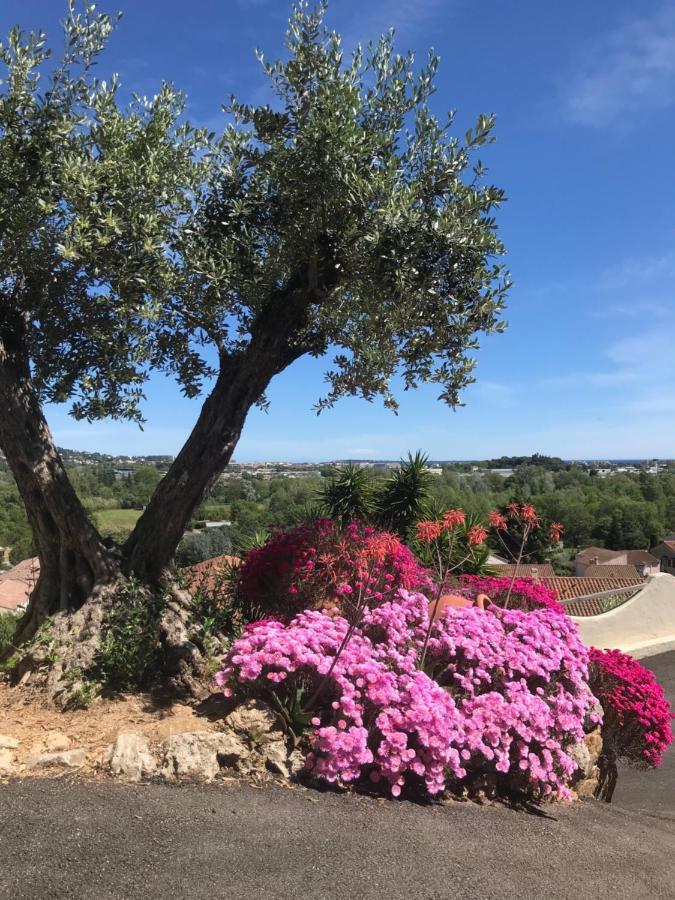 3 Bedrooms Villa near Cannes - Pool&Jacuzzi - Sea View Mandelieu Esterno foto